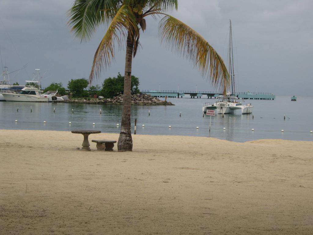 Marchabell By The Sea E22 Apartment Ocho Rios Phòng bức ảnh